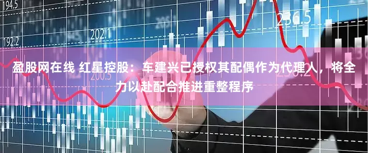 盈股网在线 红星控股：车建兴已授权其配偶作为代理人，将全力以赴配合推进重整程序