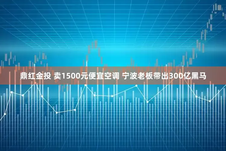 鼎红金投 卖1500元便宜空调 宁波老板带出300亿黑马