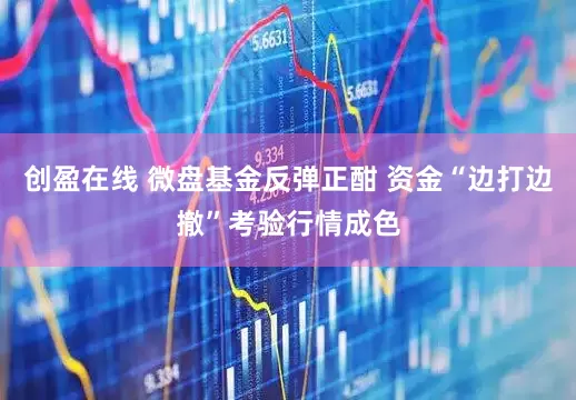 创盈在线 微盘基金反弹正酣 资金“边打边撤”考验行情成色